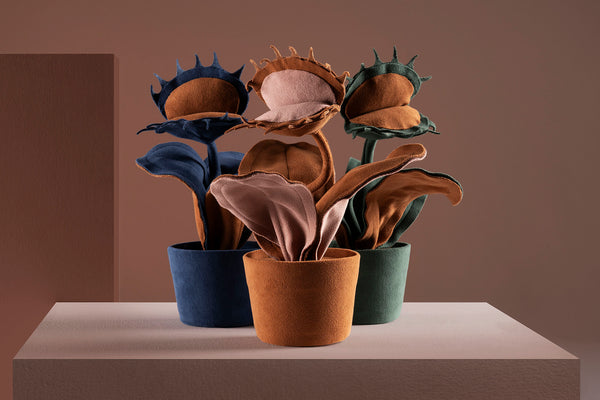 Brazilian flora through a sophisticated, modern lens; Snake Plant Medium Blue; CAR1-TER