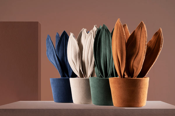 Brazilian flora through a sophisticated, modern lens; Snake Plant Mini Fendi; ESP1-VER