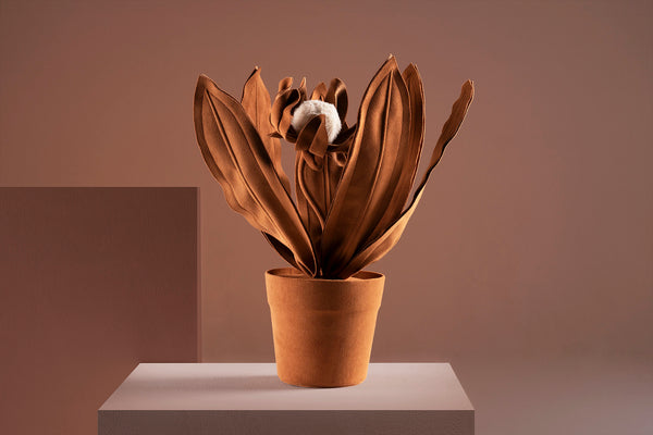 Brazilian flora through a sophisticated, modern lens; Snake Plant Medium Blue; PRT5-TER